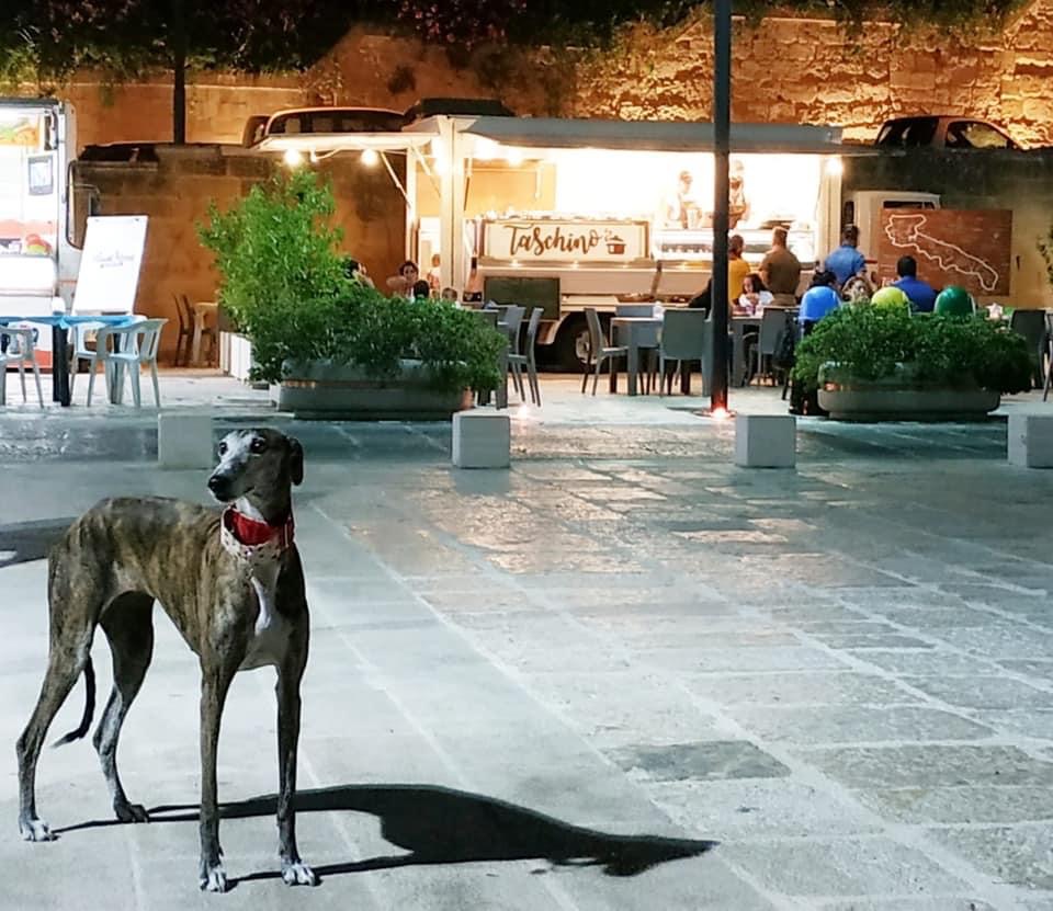 Taschino Street Sud · Foto 2